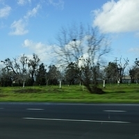 2012.12.22-070.JPG