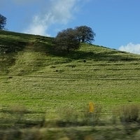 2012.12.22-078.JPG