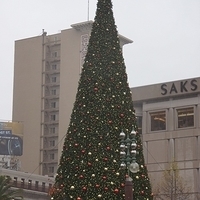 2012.12.23-001.JPG