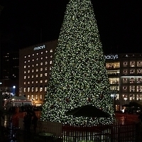 2012.12.23-093.JPG
