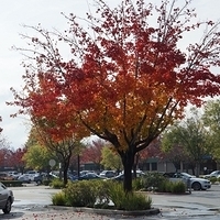 2012.12.29-003.JPG