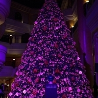 2012.11.16-001.JPG