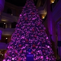 2012.11.16-002.JPG