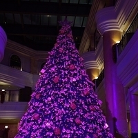 2012.11.16-003.JPG