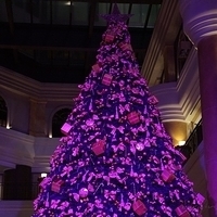 2012.11.16-004.JPG