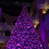 2012.11.16-005.JPG
