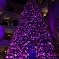 2012.11.16-006.JPG
