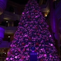 2012.11.16-007.JPG