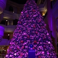 2012.11.16-008.JPG