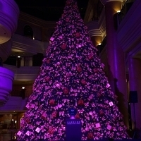 2012.11.16-009.JPG