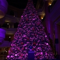 2012.11.16-010.JPG