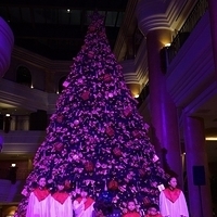 2012.11.16-016.JPG