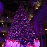 2012.11.16-017.JPG