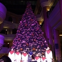 2012.11.16-019.JPG
