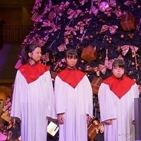 2012.11.16-020.JPG