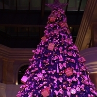 2012.11.16-024.JPG