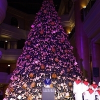 2012.11.16-025.JPG