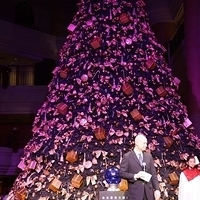 2012.11.16-032.JPG