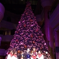 2012.11.16-050.JPG