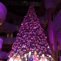 2012.11.16-051.JPG