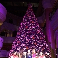2012.11.16-052.JPG