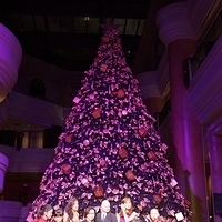 2012.11.16-053.JPG