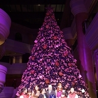 2012.11.16-054.JPG