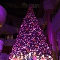 2012.11.16-055.JPG
