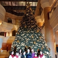 2012.11.16-058.JPG