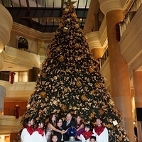2012.11.16-059.JPG