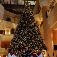 2012.11.16-060.JPG