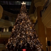 2012.11.16-062.JPG