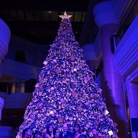 2012.11.16-064.JPG