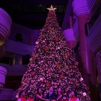 2012.11.16-065.JPG