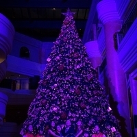 2012.11.16-066.JPG