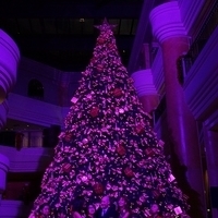 2012.11.16-067.JPG