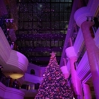2012.11.16-068.JPG