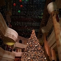 2012.11.16-070.JPG