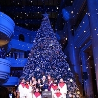 2012.11.16-075.JPG