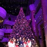 2012.11.16-076.JPG