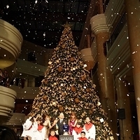 2012.11.16-077.JPG