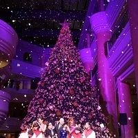 2012.11.16-078.JPG