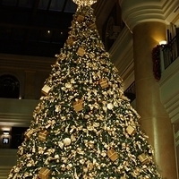 2012.11.16-147.JPG
