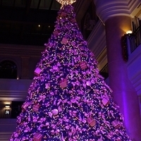 2012.11.16-148.JPG