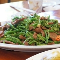 2012.02.11-LG11-066.JPG