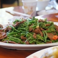2012.02.11-LG11-067.JPG