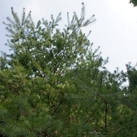 2012.02.11-LG11-072.JPG