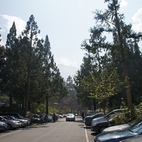 2012.02.11-LG11-075.JPG
