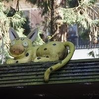 2012.02.11-LG11-082.JPG