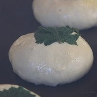 2012.02.11-LG11-094.JPG